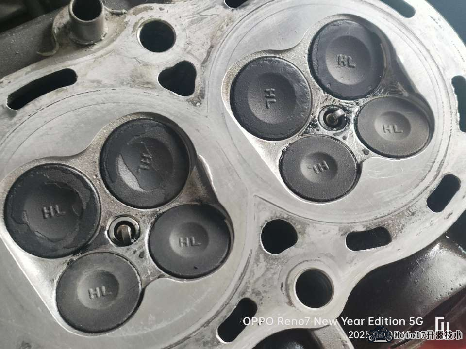 IMG20250404153138.jpg