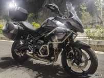 我也来晒晒我的小老虎