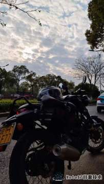 也是有了属于自己的良驹了